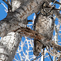 Whooo Are You?